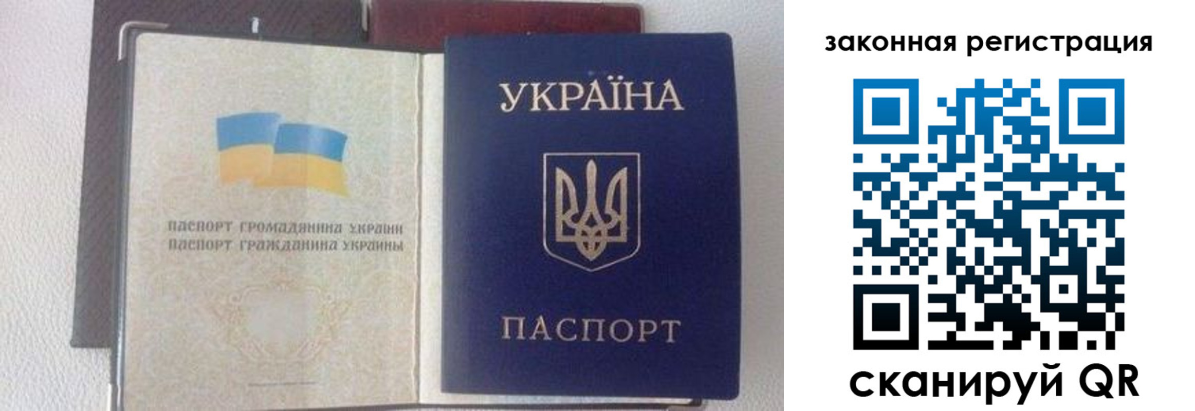 прописка гарантия в Чите
